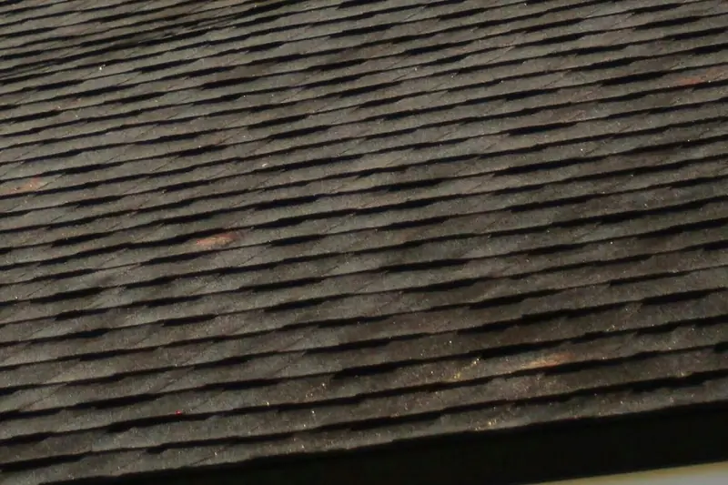 Close-up of dark architectural asphalt shingles on a residential roof