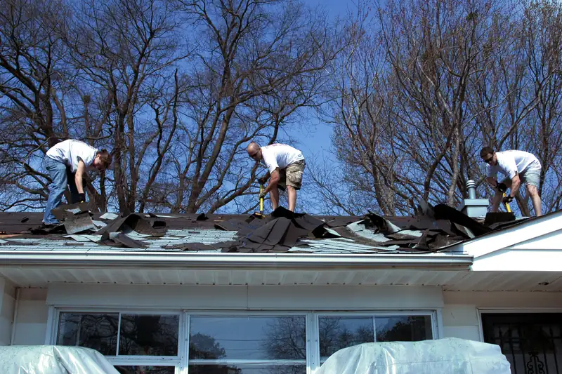 Workers tearing off old asphalt shingles during a roof replacement